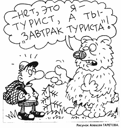 встреча с медведем в лесу, encounter with a bear in the woods