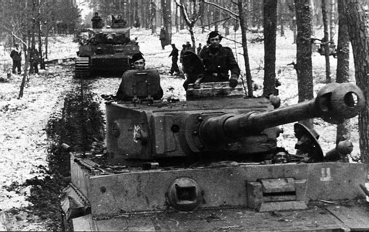 танки Тигры в русских лесах, после 1943 г танки Тигры в русских лесах, после 1943 г
