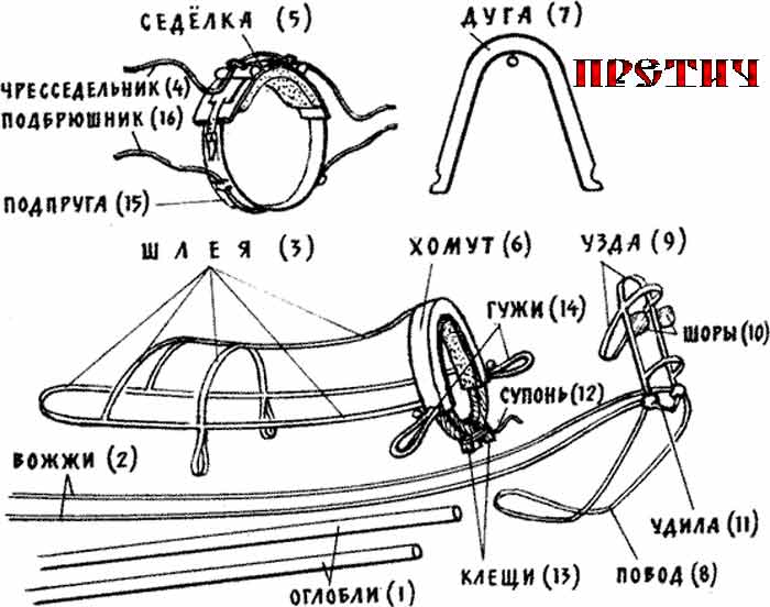 все элементы упряжи все элементы упряжи