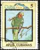Click to view 11_cuba_mark_t1.jpg