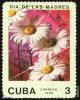 Click to view 2_cuba_komm-post_t1.jpg