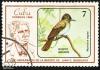 Click to view 4_cuba_mark_t1.jpg