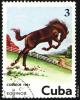 Click to view 7_cuba_mark_t1.jpg