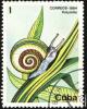 Click to view cuba_mark_6_t1.jpg