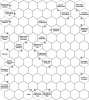 Click to view ex_ghfhg_u67567_uyt67_96_t1.png
