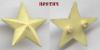 Click to view pl-star-pog_t1.jpg