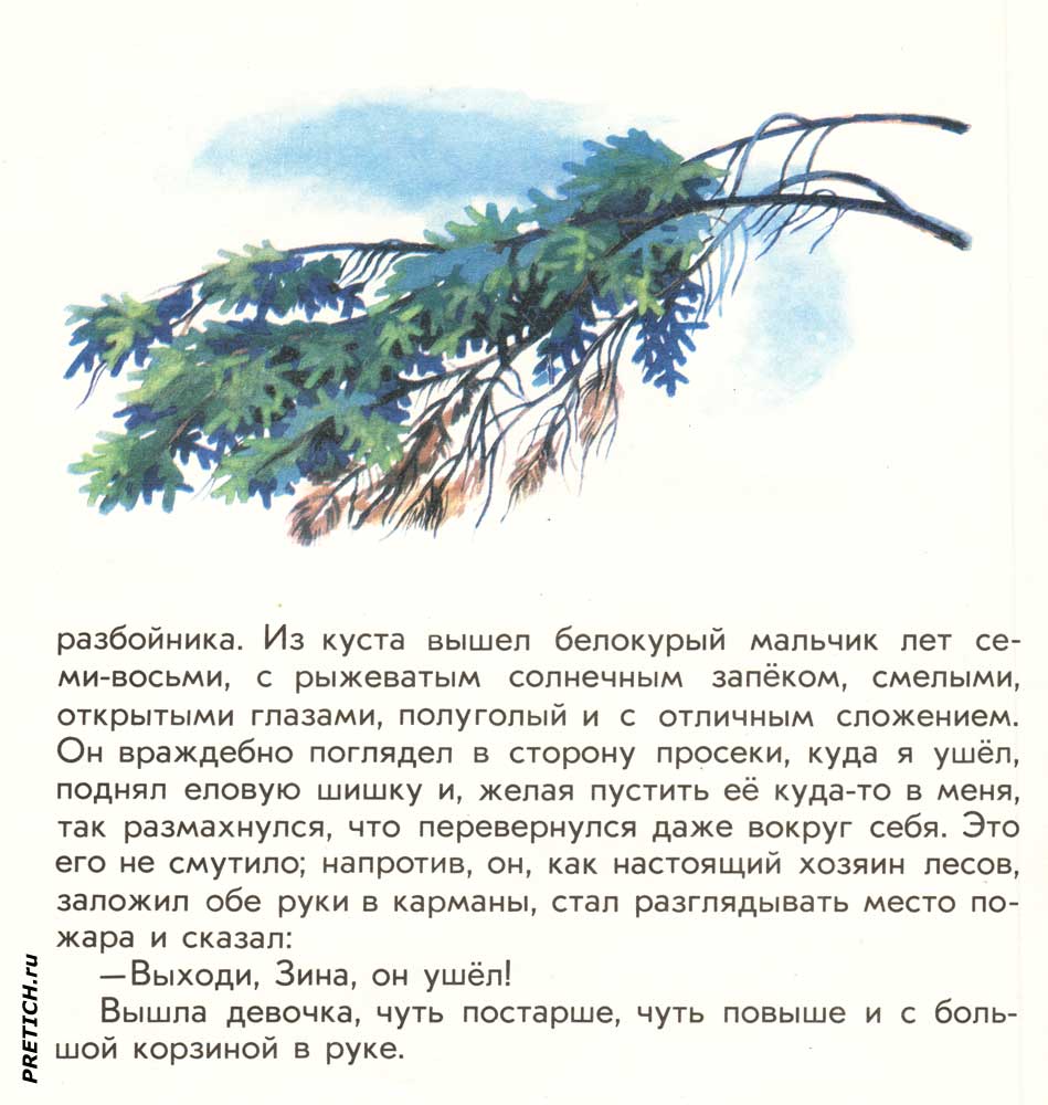 рисунки из советских детских книг, Пришвин рисунки из советских детских книг, Пришвин