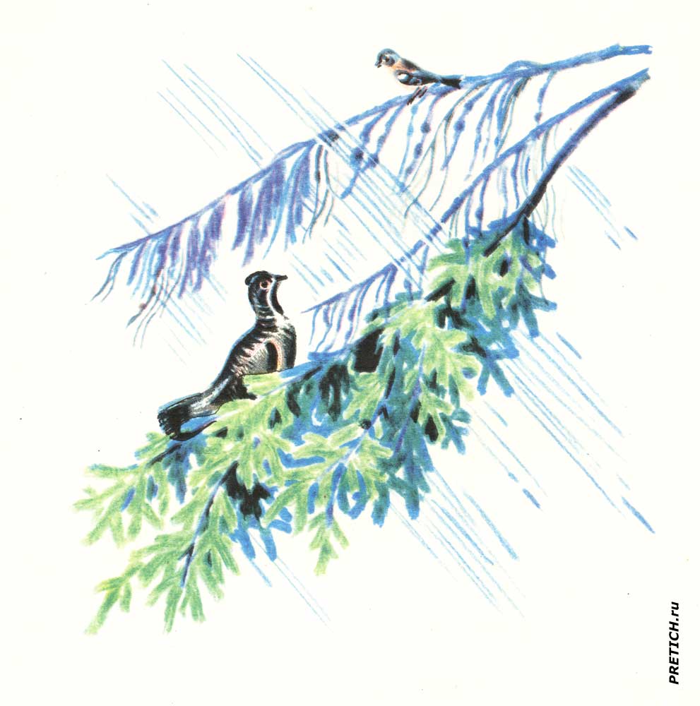 иллюстрации к детским книжкам Б. Малинковский иллюстрации к детским книжкам Б. Малинковский
