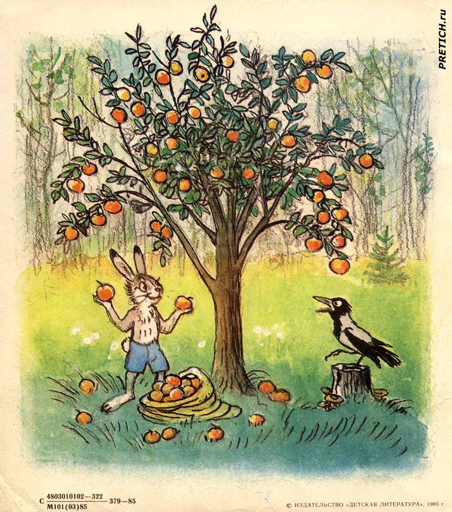 иллюстрации к книжке СССР В. Сутеев Мешок яблок иллюстрации к книжке СССР В. Сутеев Мешок яблок