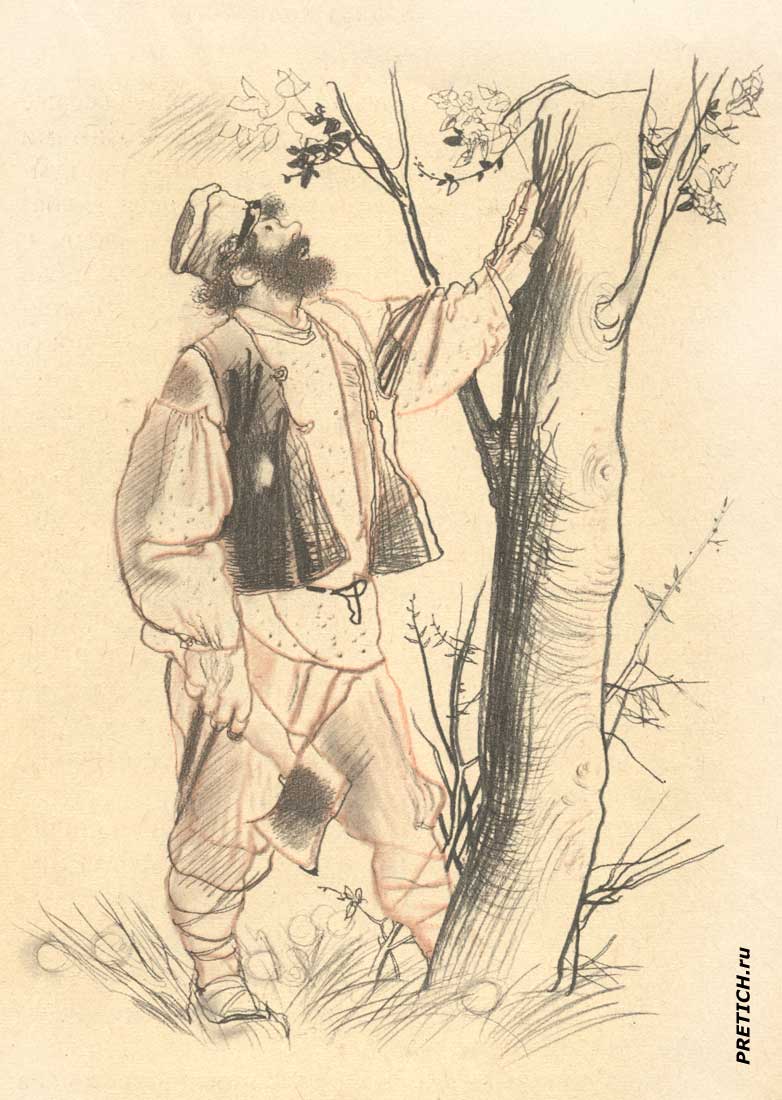 рисунок к рассказу Толстого Черёмуха, иллюстрации рисунок к рассказу Толстого Черёмуха, иллюстрации