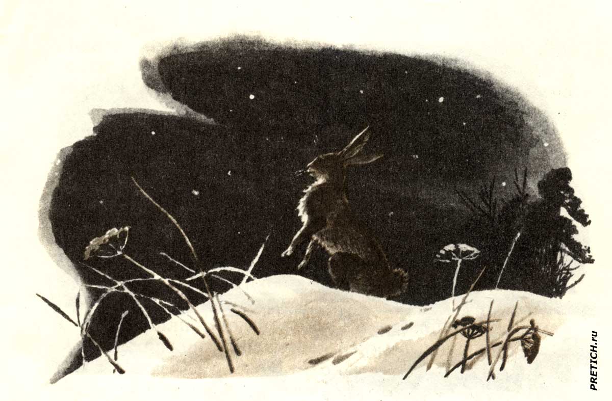 Русак Лев Толстой, детские рисунки, книжка Русак Лев Толстой, детские рисунки, книжка