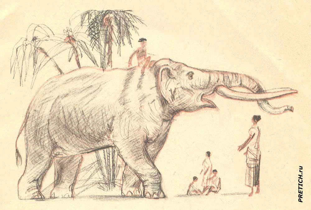 Лев Толстой рассказ Слон - рисунок из книжки Лев Толстой рассказ Слон - рисунок из книжки