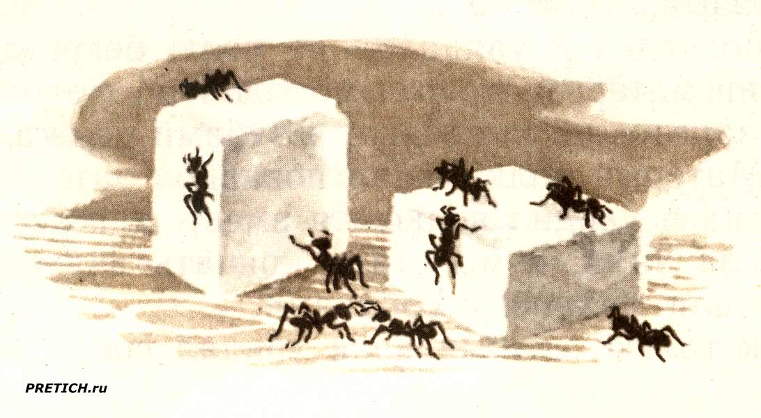 о муравьях детский рассказ, иллюстрация, книжка СССР о муравьях детский рассказ, иллюстрация, книжка СССР